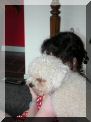 DSCN0798.JPG