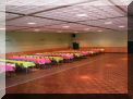 DSCN0800.JPG
