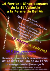 saintvalentin-diner-dansant-guenrouet-16fevrierweb-dancecenter